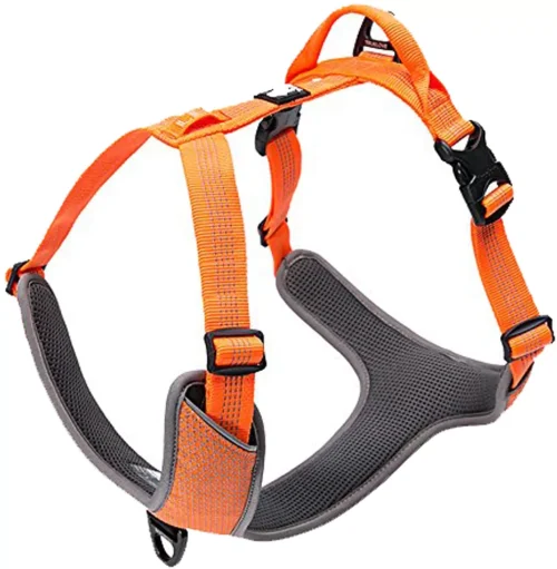 Peitoral True Love Laranja - TLH6071