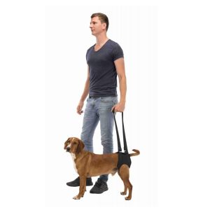 ARNÊS-DE-REABILITAÇÃO-APOIO-PARA-CAMINHAR