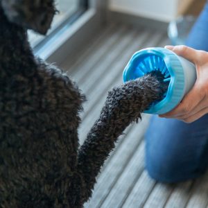 Limpador de Patas Com Cerdas em Silicone