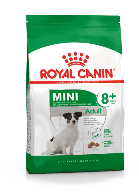 Royal Canin Mini Adulto 8+ - ração para cão