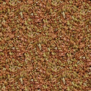 alimento-para-peixes-sera-vipagran